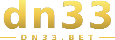 dn33 logo